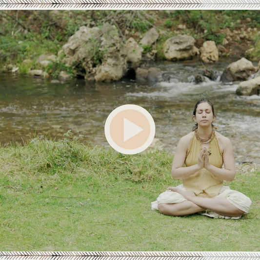 Nandini Yoga Class ॐ