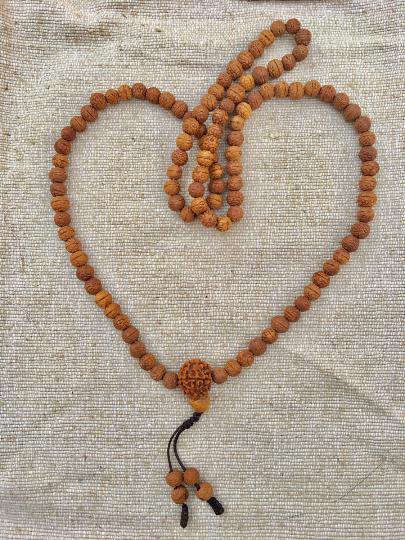 Bodhi seeds mala With rudraksha seed ~