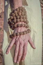 מחרוזת מאלה (Mala) מזרעי רודראקשה (Rudraksha) גדולים
