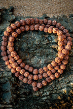 מחרוזת מאלה (Mala) מזרעי רודראקשה (Rudraksha) גדולים
