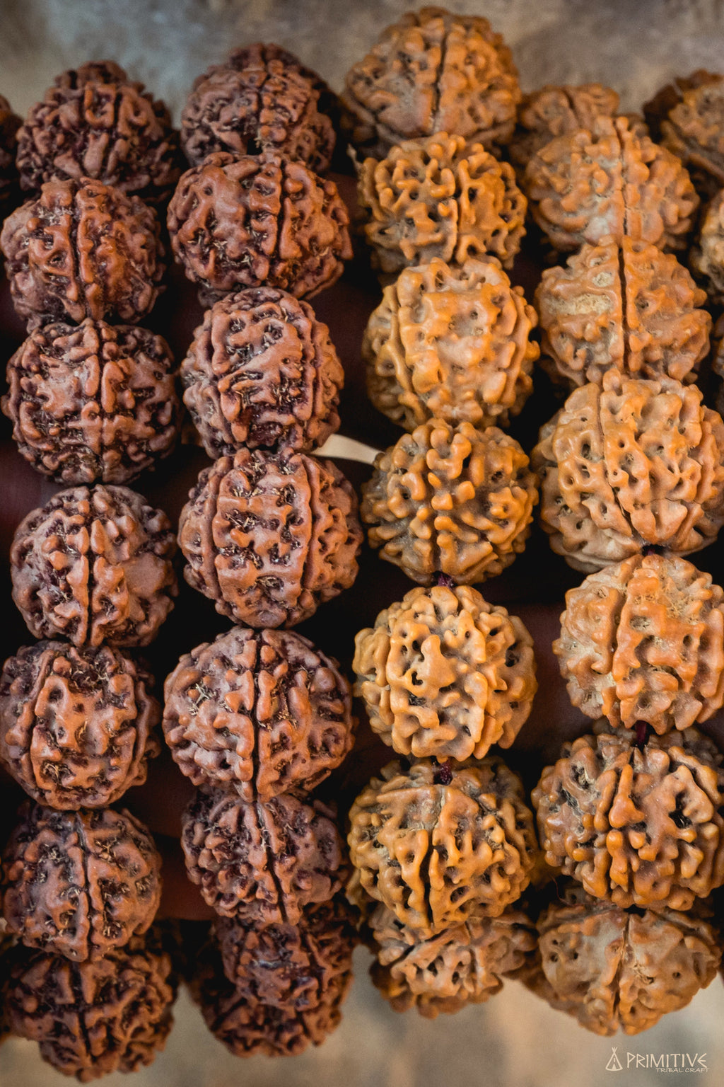 מחרוזת מאלה (Mala) מזרעי רודראקשה (Rudraksha) גדולים