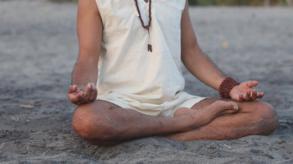 ๑ Bodhi Seeds Mala ๑