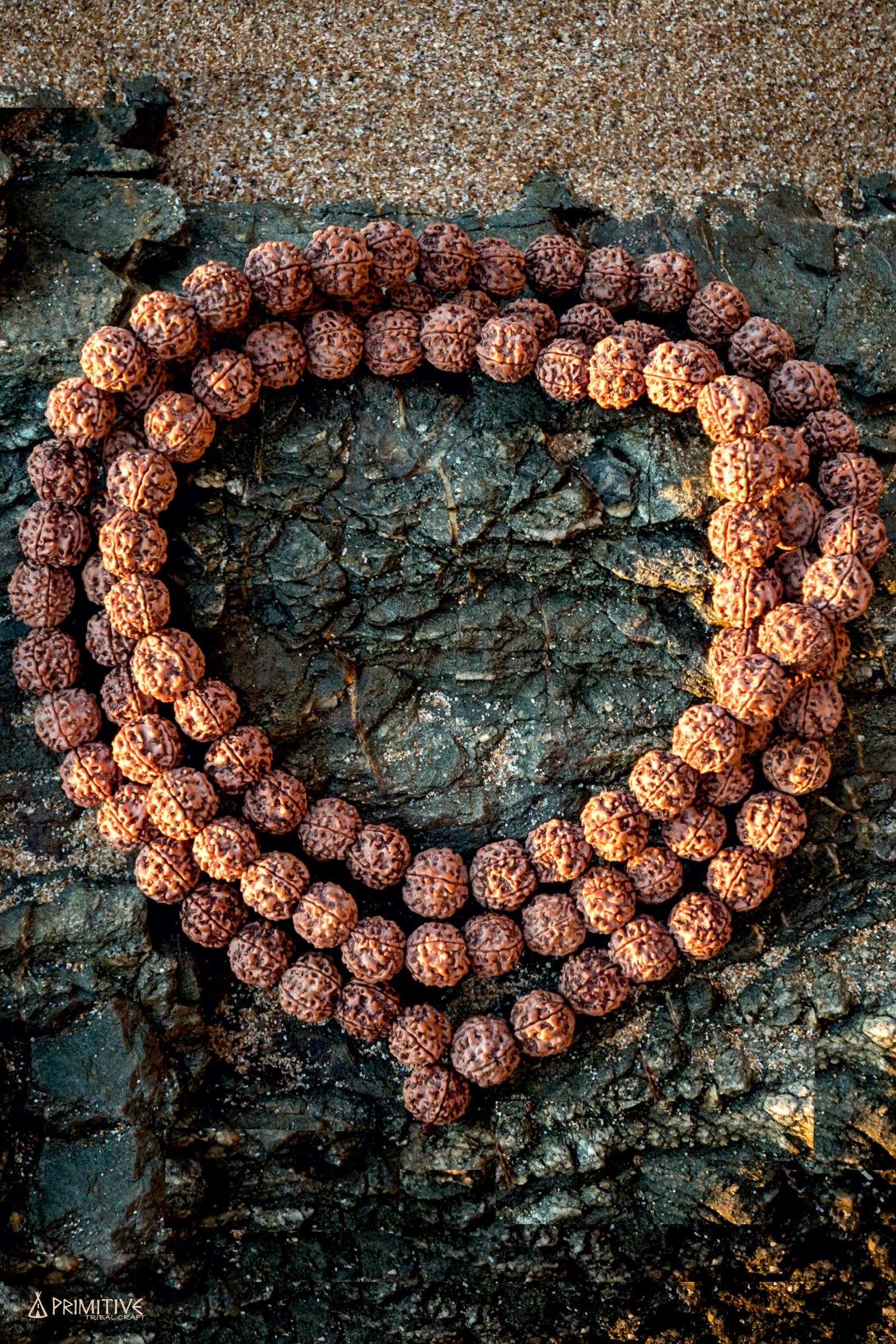 rudraksha seeds for planting Large ๑ Rudraksha Seeds ๑ Mala