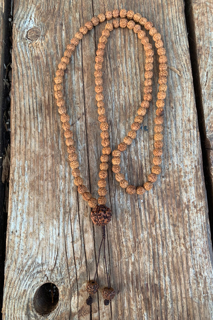 ๑ Rudraksha Seeds Mala ๑