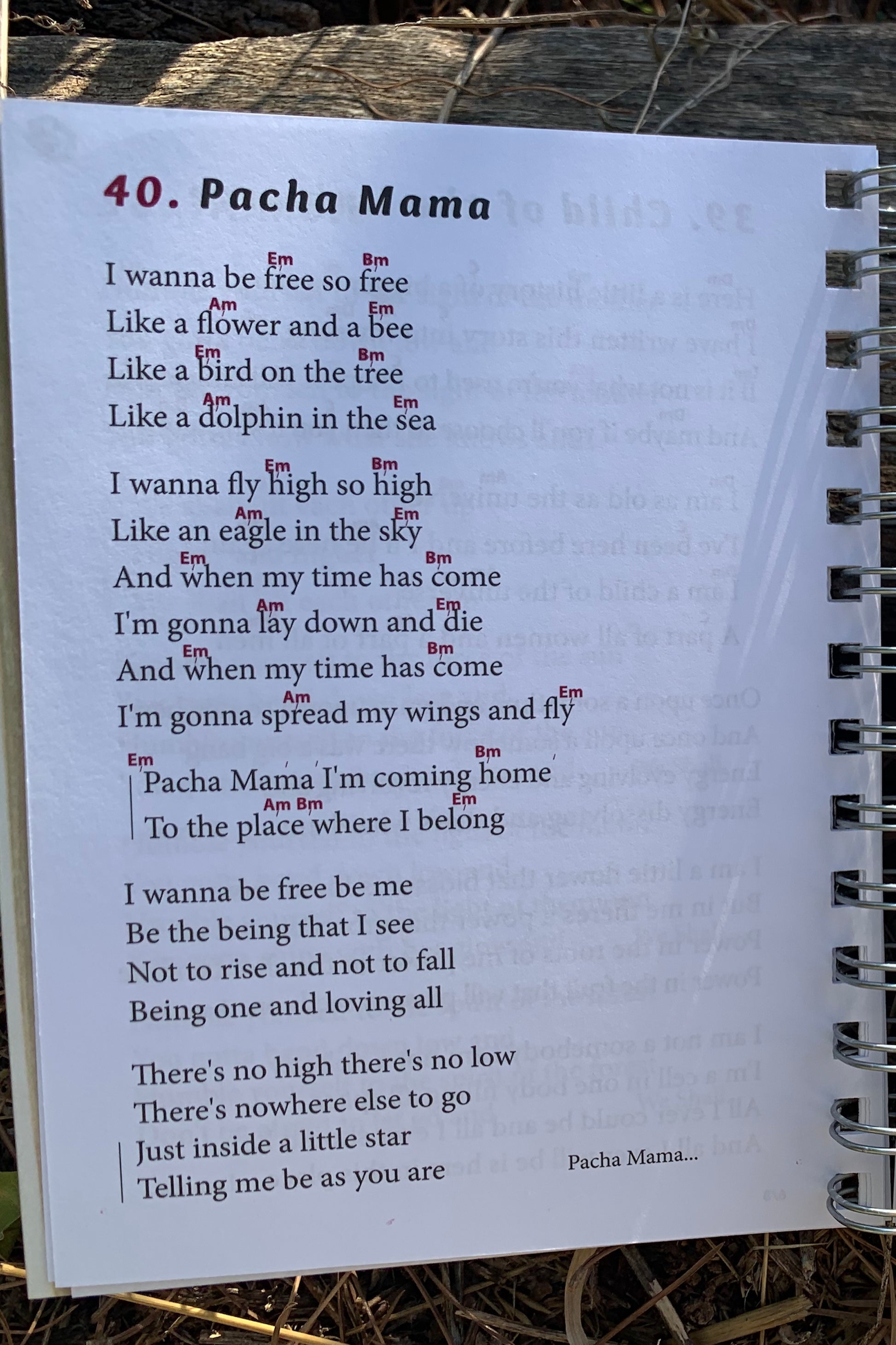 Rainbow Song Book with Chords ~ Rainbow CD