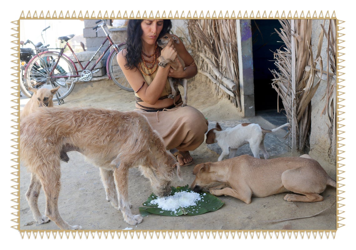 Help Spay A Street Dog And Receive A Surprise Item