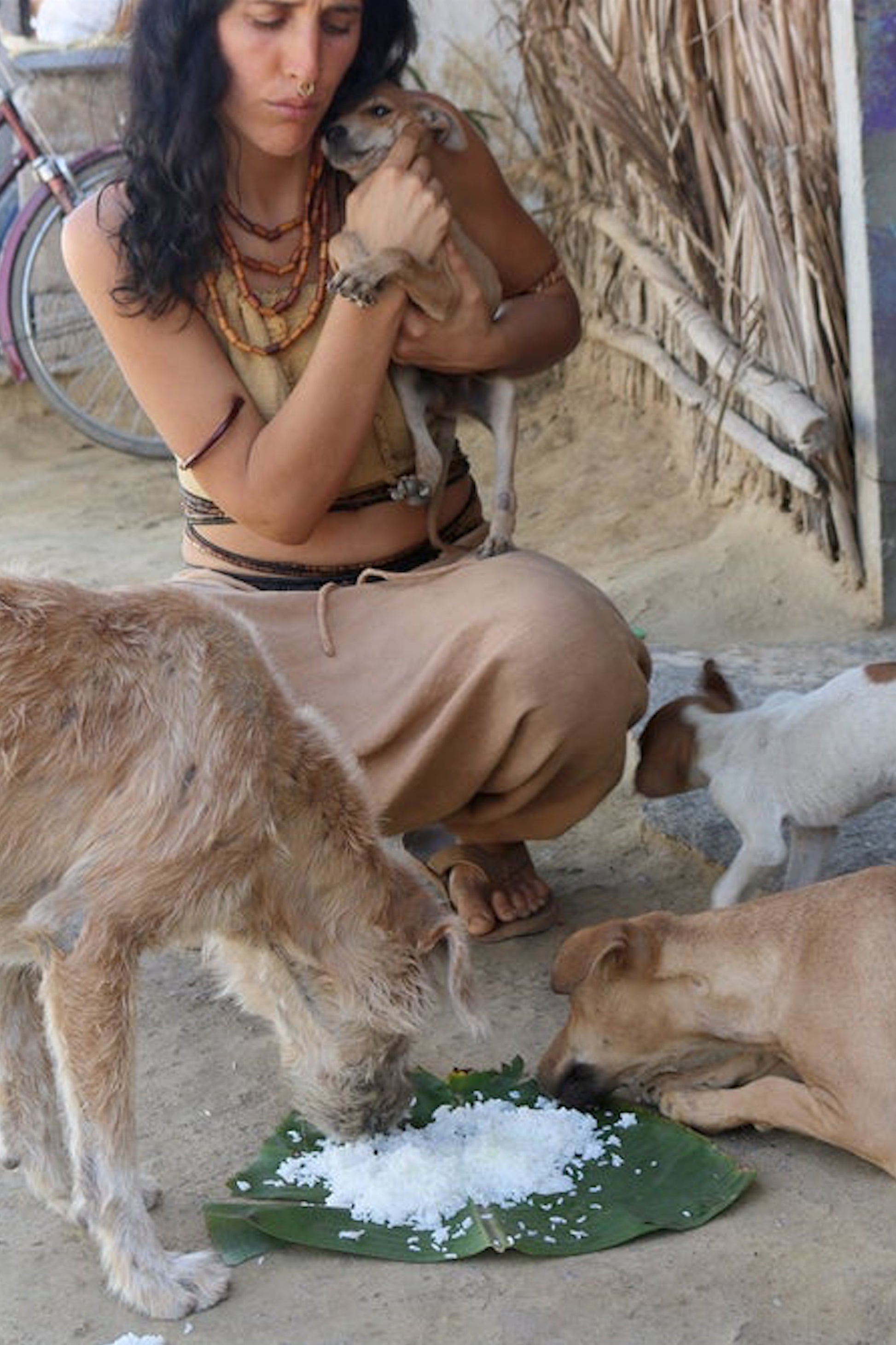 Help Spay A Street Dog And Receive A Surprise Item